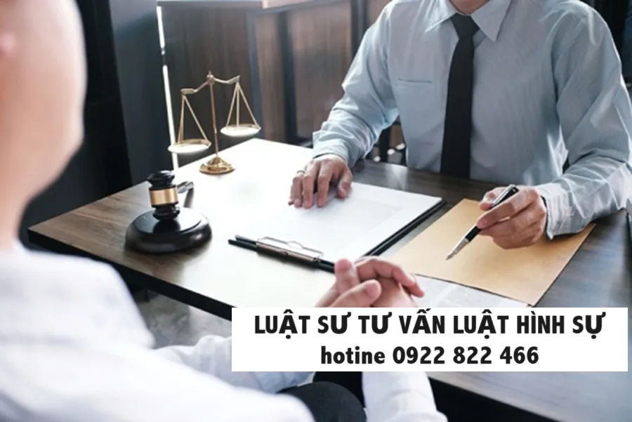 Luật sư tư vấn luật hình sự 3 luat su tu van luat hinh su