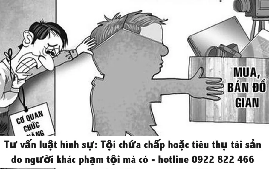 toi chua chap hoac tieu thu tai san do nguoi khac pham toi ma co